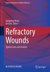Refractory Wounds (ISBN: 9789819620661)