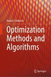 Optimization Methods and Algorithms (ISBN: 9789819691937)