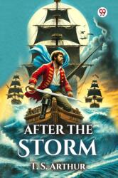 After the Storm (ISBN: 9789370425224)