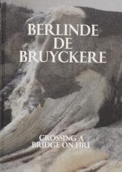 Berlinde De Bruyckere: Crossing a Bridge on Fire (ISBN: 9788867496280)
