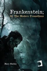 FRANKENSTEIN; OR, THE MODERN PROMETHEUS - Shelley, Mary (ISBN: 9788419365637)