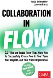 Collaboration in Flow (ISBN: 9783967392456)
