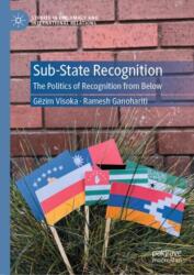 Sub-State Recognition (ISBN: 9783031955037)