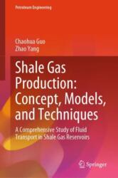 Shale Gas Production: Concept, Models, and Techniques (ISBN: 9783031845512)