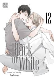 Black or White, Vol. 12 (ISBN: 9781974762606)