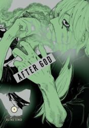 After God, Vol. 9 (ISBN: 9781974761630)