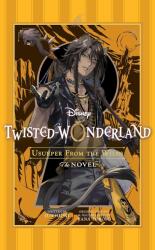 Disney Twisted-Wonderland: Usurper from the Wilds - Jun Hioki, Yana Toboso (ISBN: 9781974761111)