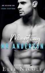 Meeting Mr. Anderson (ISBN: 9781917681100)