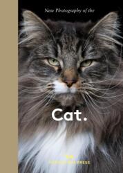 New Photography of the Cat (ISBN: 9781914314940)