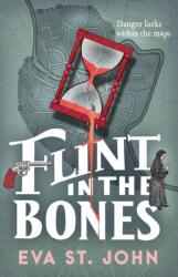 Flint in the Bones (ISBN: 9781913628185)