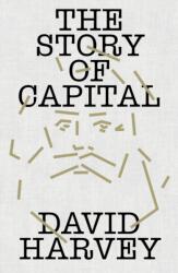 The Story of Capital (ISBN: 9781836742111)