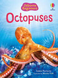 Beginners Octopuses - Wazza Pink (ISBN: 9781836053293)