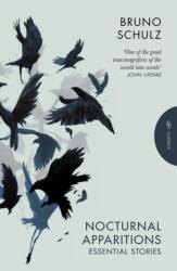 Nocturnal Apparitions (ISBN: 9781805333319)