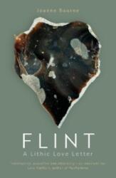 Flint (ISBN: 9781785634611)