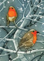 Wild Birds Pocket Notebook: Robin (ISBN: 9781780279367)