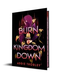 Burn the Kingdom Down (ISBN: 9781728283036)