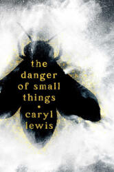 The Danger of Small Things - LEWIS CARYL (ISBN: 9781665977517)