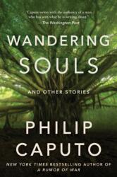 Wandering Souls (ISBN: 9781648211584)