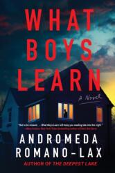 What Boys Learn (ISBN: 9781641296915)