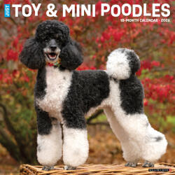 Toy amp; Miniature Poodles 2026 12 X 12 Wall Calendar (ISBN: 9781549255588)