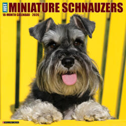 Miniature Schnauzers 2026 12 X 12 Wall Calendar (ISBN: 9781549255502)