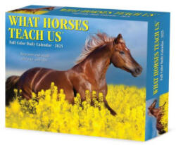 What Horses Teach Us 2026 5.4 X 6.2 Box Calendar - Glen Dromgoole (ISBN: 9781549254529)