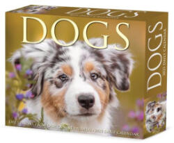 Dogs 2026 5.4 X 6.2 Box Calendar - Willow Creek Press (ISBN: 9781549254147)