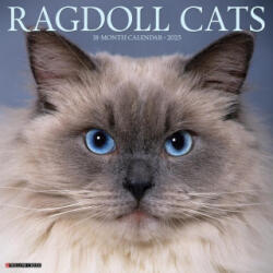 Ragdoll Cats 2026 12 X 12 Wall Calendar - Willow Creek Press (ISBN: 9781549252549)