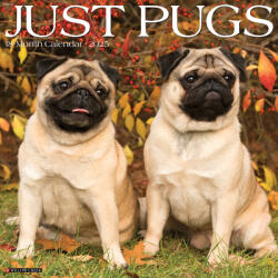 Pugs 2026 12 X 12 Wall Calendar - Willow Creek Press (ISBN: 9781549252501)