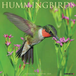 Hummingbirds 2026 12 X 12 Wall Calendar (ISBN: 9781549251528)