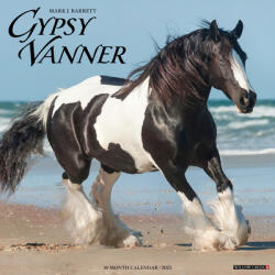 Gypsy Vanner Horse 2026 12 X 12 Wall Calendar - Willow Creek Press (ISBN: 9781549251429)