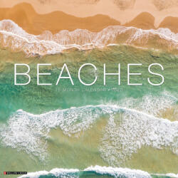 Beaches 2026 12 X 12 Wall Calendar - Willow Creek Press (ISBN: 9781549250118)