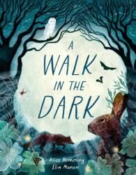 A Walk in the Dark (ISBN: 9781510231481)