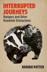 Interrupted Journeys (ISBN: 9781399822404)