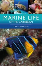 Marine Life of the Caribbean (ISBN: 9781399419352)