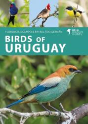 Birds of Uruguay - Rafael Tosi German (ISBN: 9781399406734)