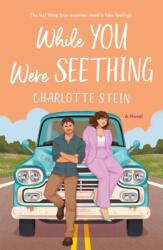 While You Were Seething (ISBN: 9781250867995)