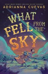 What Fell from the Sky (ISBN: 9781250854346)