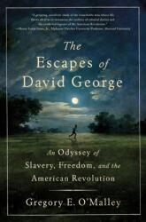 The Escapes of David George (ISBN: 9781250364234)