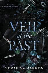 Veil of the Past (ISBN: 9781068473906)