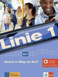 Linie 1 A1.1 - Ediție hibridă allango, cu 1 supliment (2024)