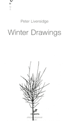 Winter Drawings (2025)
