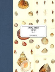 Vintage Prints: Shells: Vol. 3 - E. Lawrence (ISBN: 9781727184266)