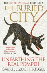 The Buried City - Jamie Bulloch (ISBN: 9781399731171)