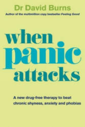 When Panic Attacks - David Burns (ISBN: 9780091929602)