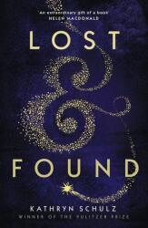 Lost & Found (ISBN: 9781529000511)