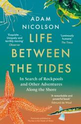 Life Between the Tides (ISBN: 9780008294816)