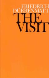 The Visit (ISBN: 9780224009140)