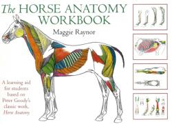 Horse Anatomy Workbook (ISBN: 9780851319056)