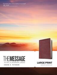 Message Bible (ISBN: 9781576838464)